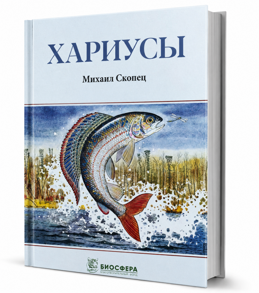 Хариусы